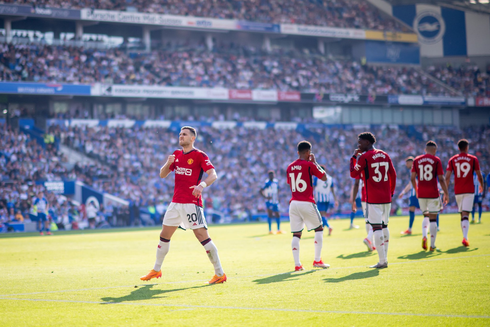 阿密全身而 阿密全身而